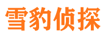 盘锦侦探公司